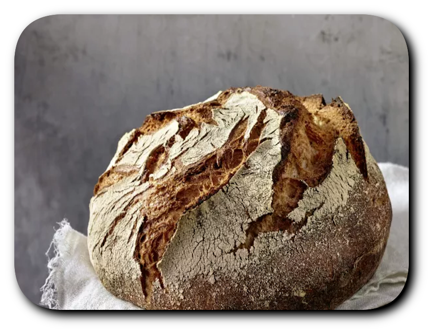 bauernbrot 1.600x400