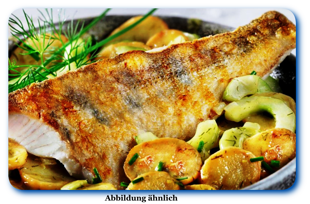 Zander auf der Haut gebraten