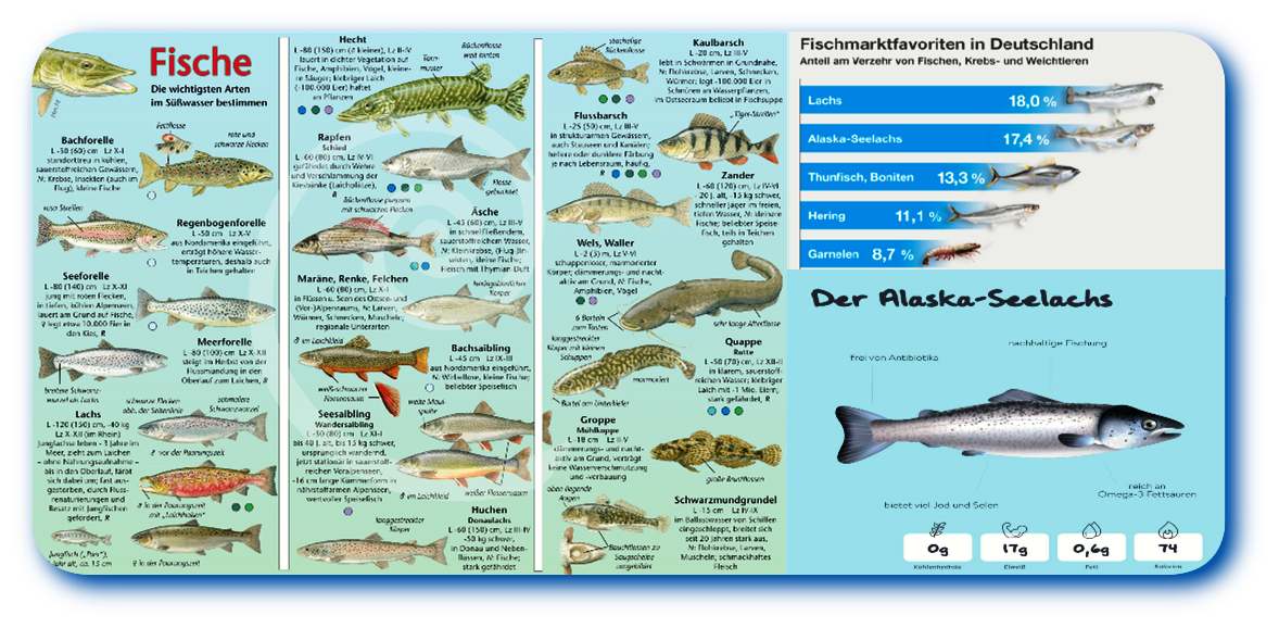 Fischtabelle rund schatten