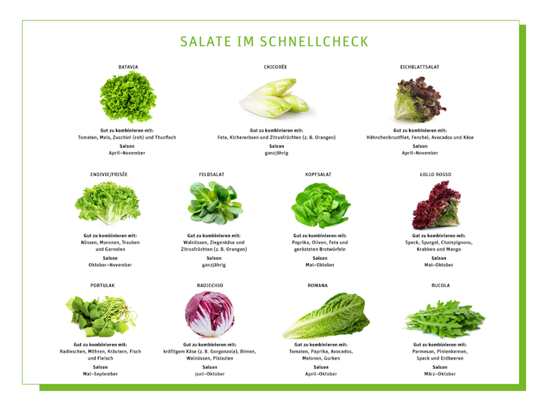 Salatvielfalt.png